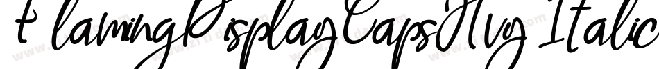 FlamingDisplayCapsHvy Italic字体转换